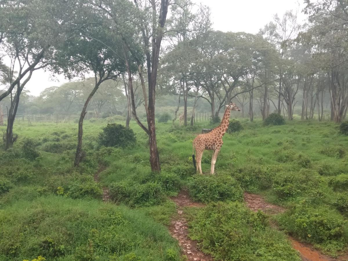 Elimurk Bnb Near Jkia N Sgr 奈洛比 外观 照片